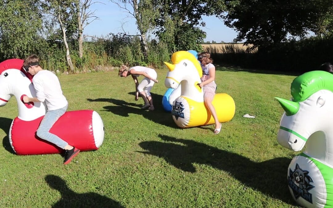 6 års fødselsdag