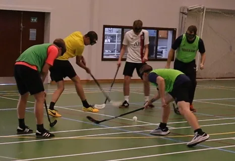 Promille Hockey Regler